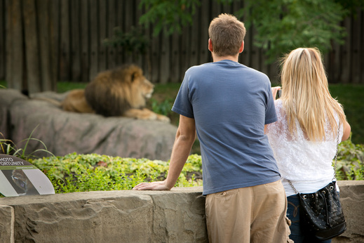 campus-14.1-couple-zoo-date
